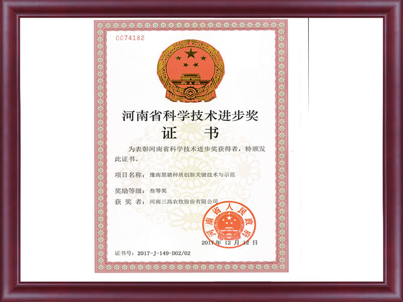 河南省科技進(jìn)步三等獎