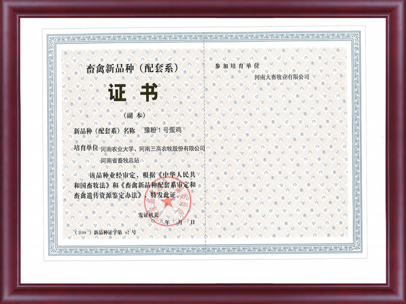 豫粉1号配套系證書