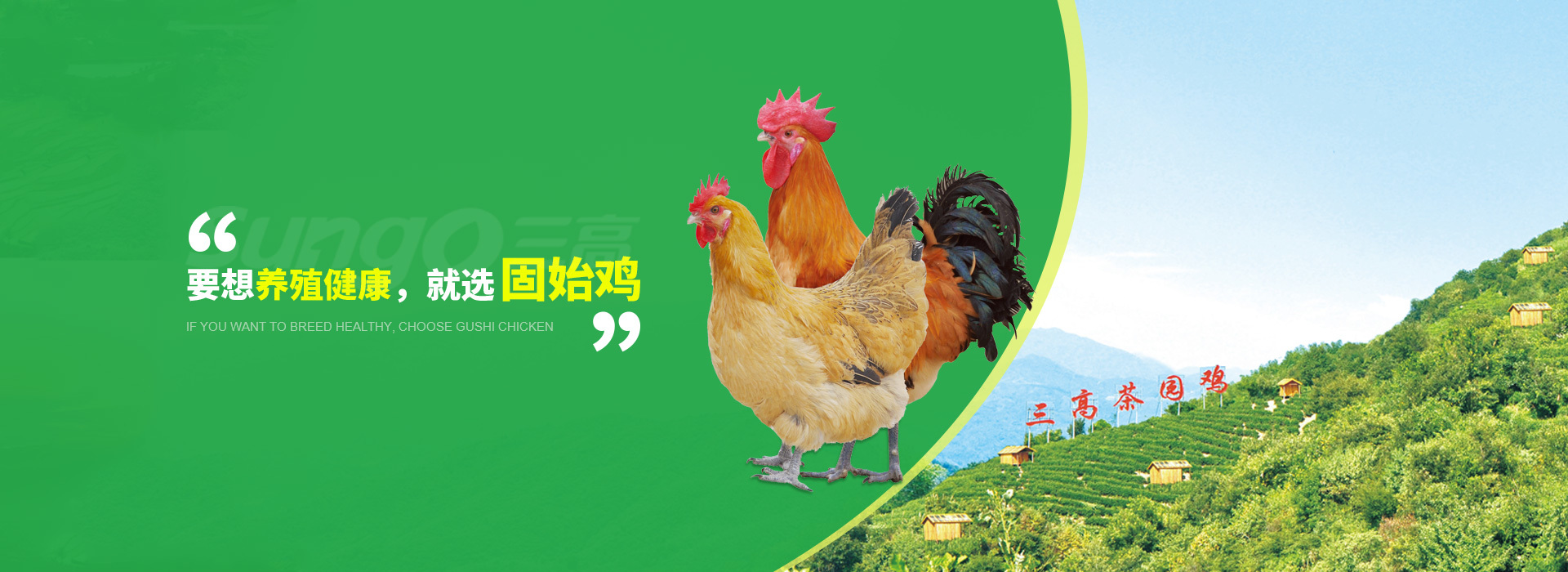 河南鴻乘農牧有限公司