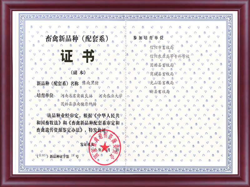 豫南黑豬新品種(zhǒng)證書