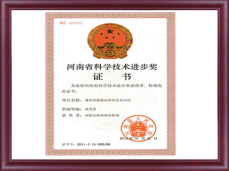 河南省科技進(jìn)步二等獎