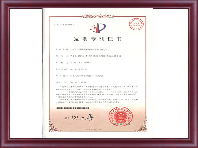 發(fā)明專利