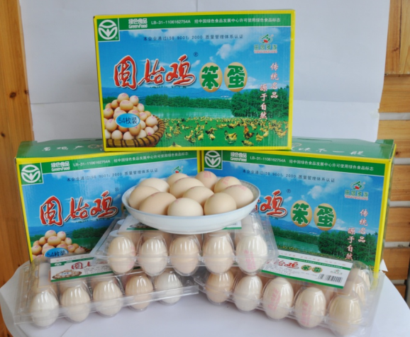 固始雞笨蛋